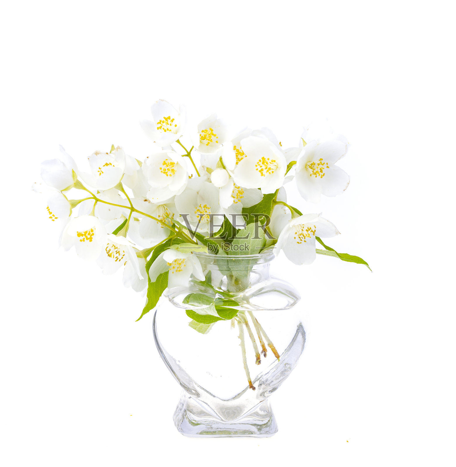 插着白花的小玻璃花瓶。照片照片摄影图片