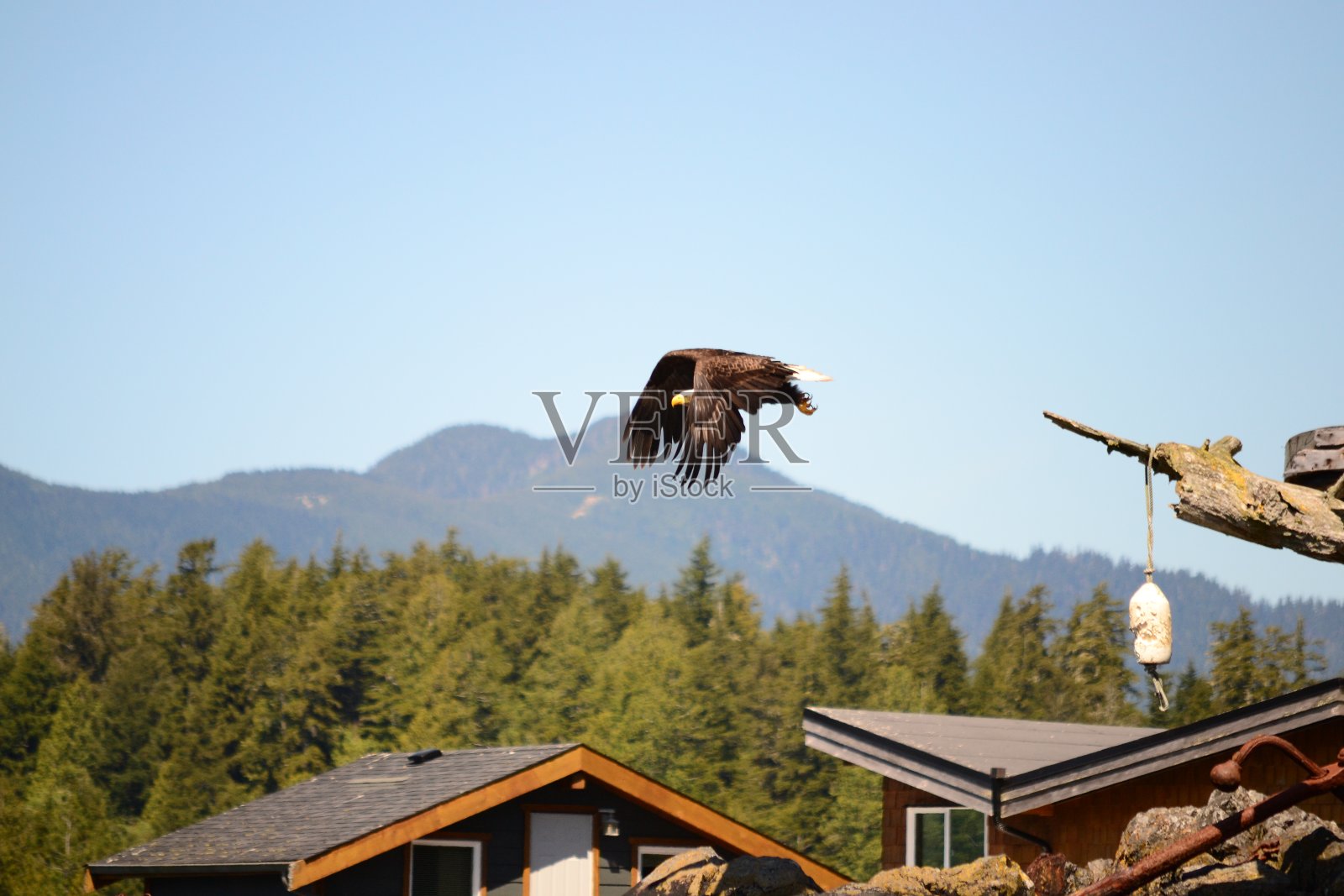 起飞照片摄影图片