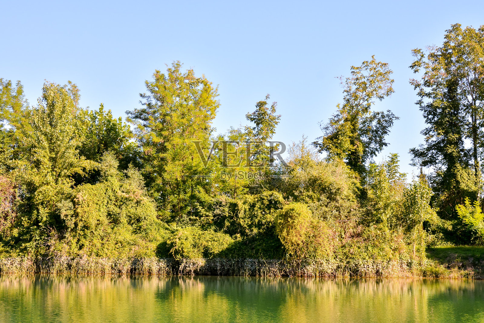 野生兰德河照片摄影图片