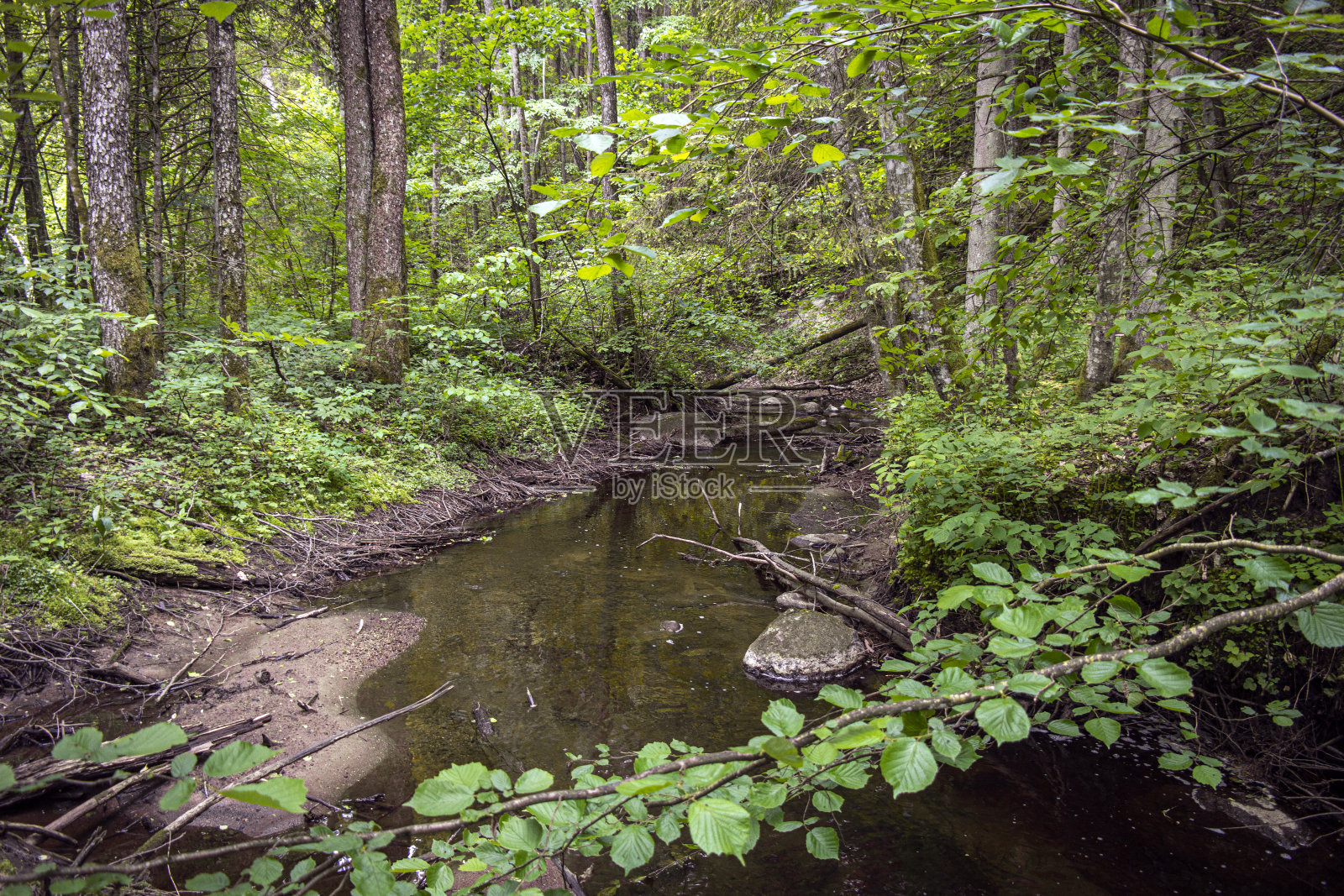 水从多岩石的河谷中流过。照片摄影图片