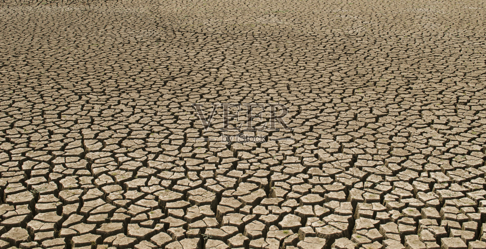 干裂的土地，沙漠干裂的土地照片摄影图片