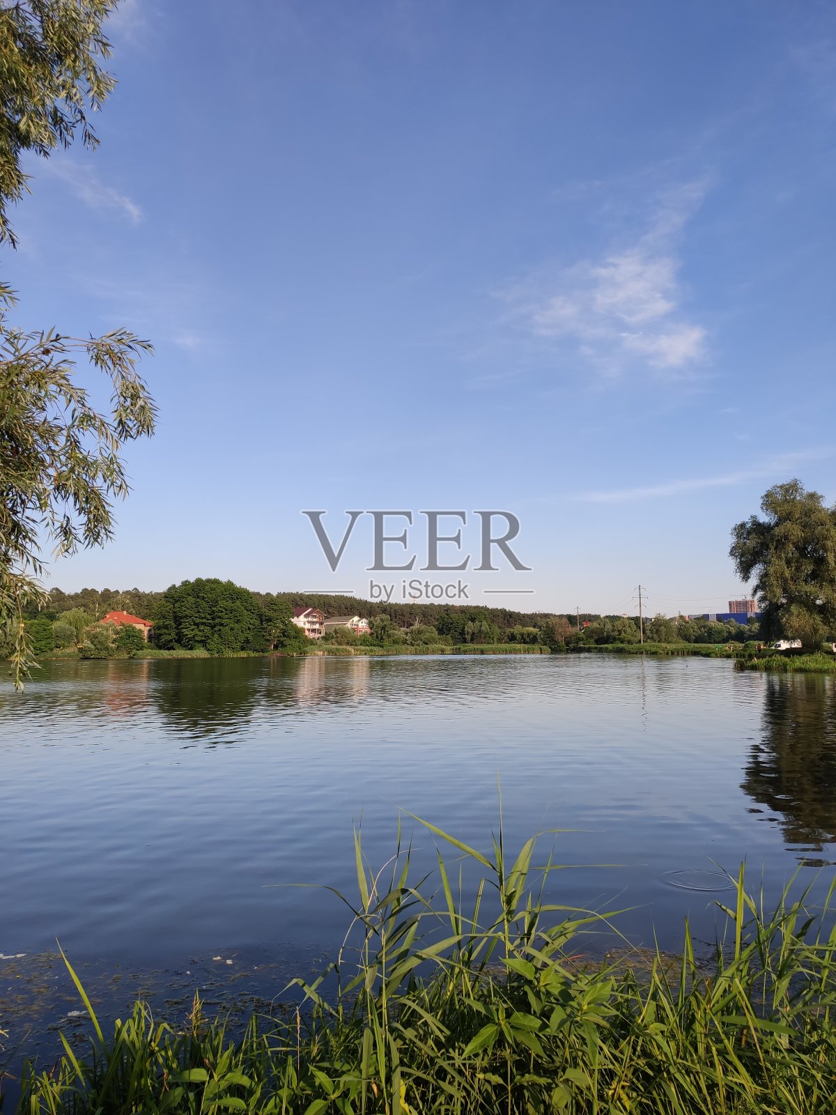 夏天森林里美丽的湖照片摄影图片