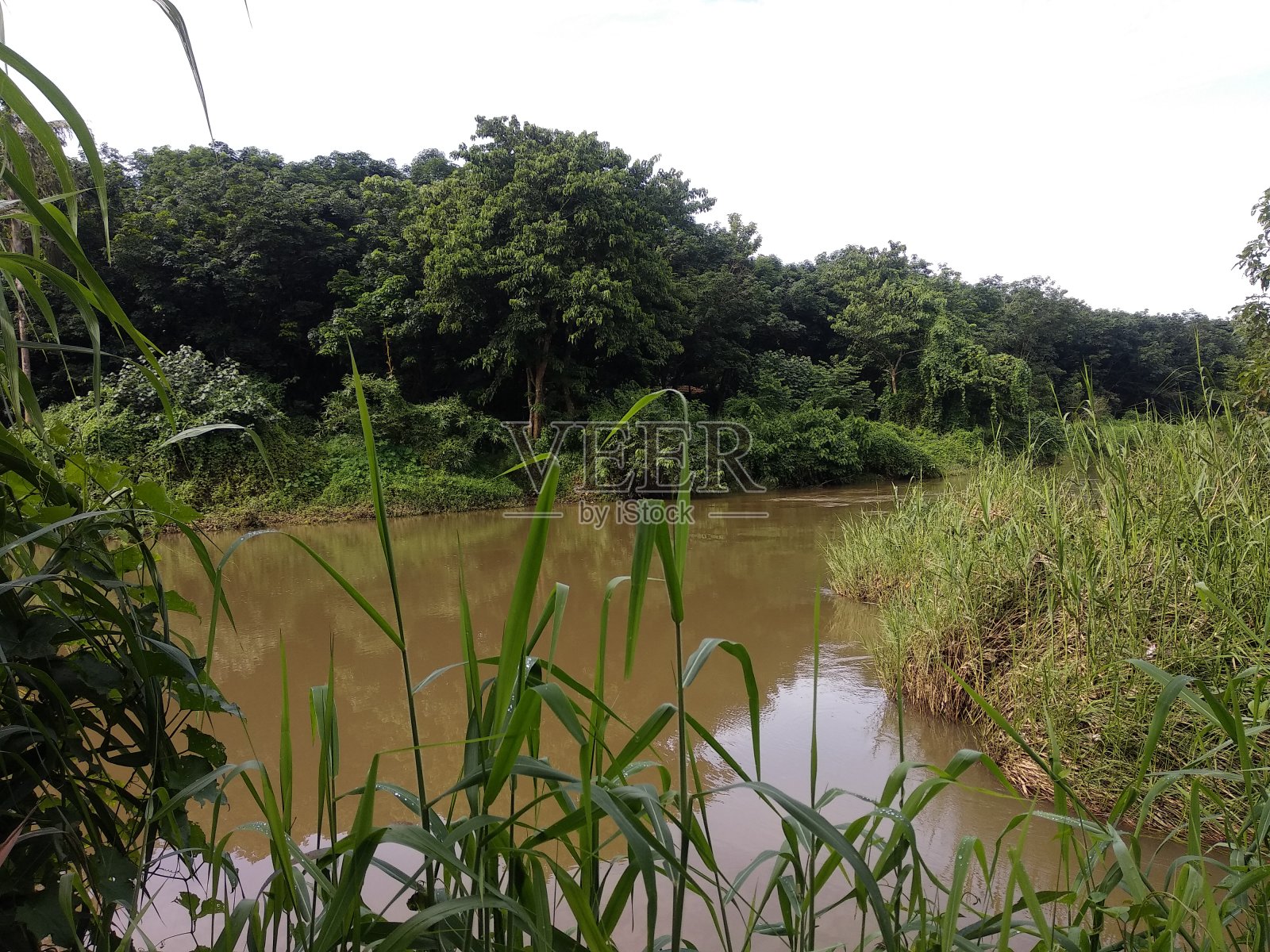 自然照片摄影图片