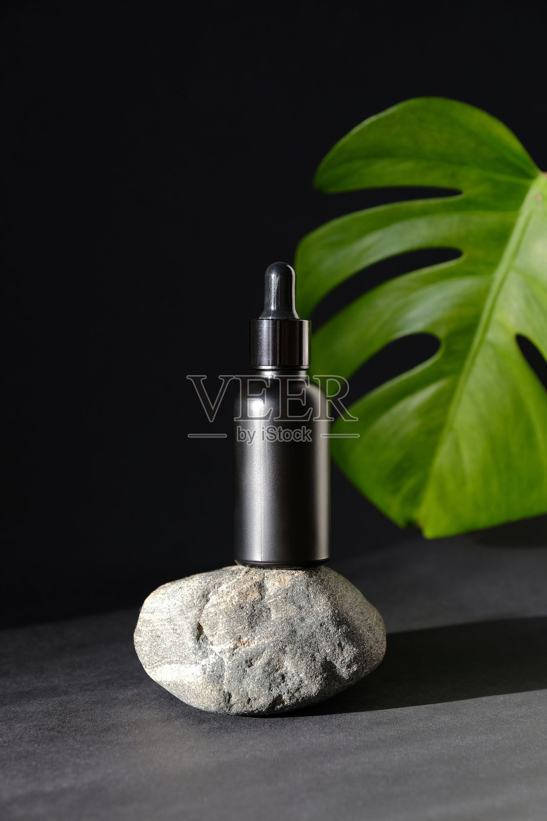 黑色滴瓶模型站在石头和热带棕榈叶在黑色的背景。草药化妆品、天然有机美容产品、精油包装设计。照片摄影图片