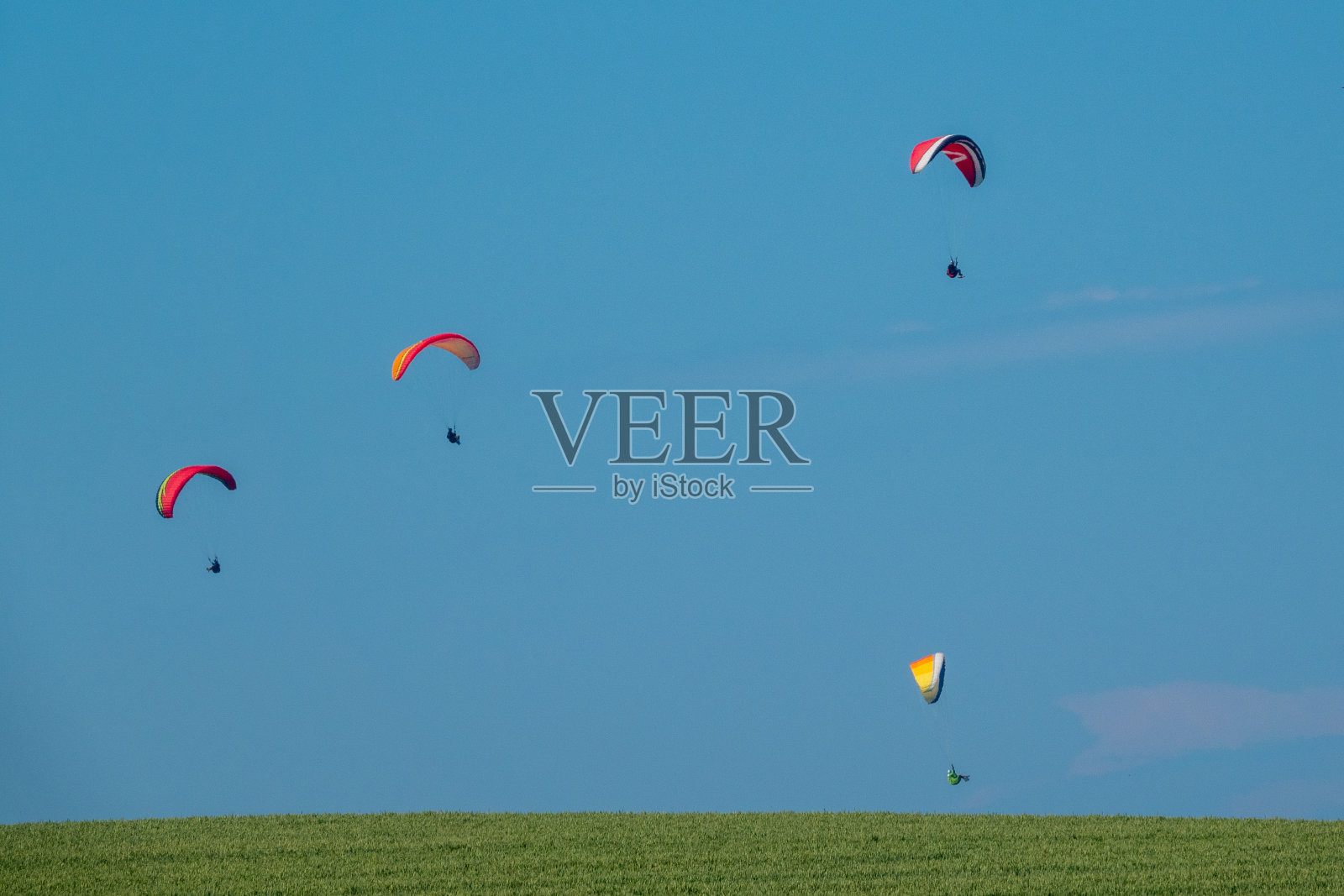 在绿色的田野上，在地平线上飞行不同的滑翔伞照片摄影图片