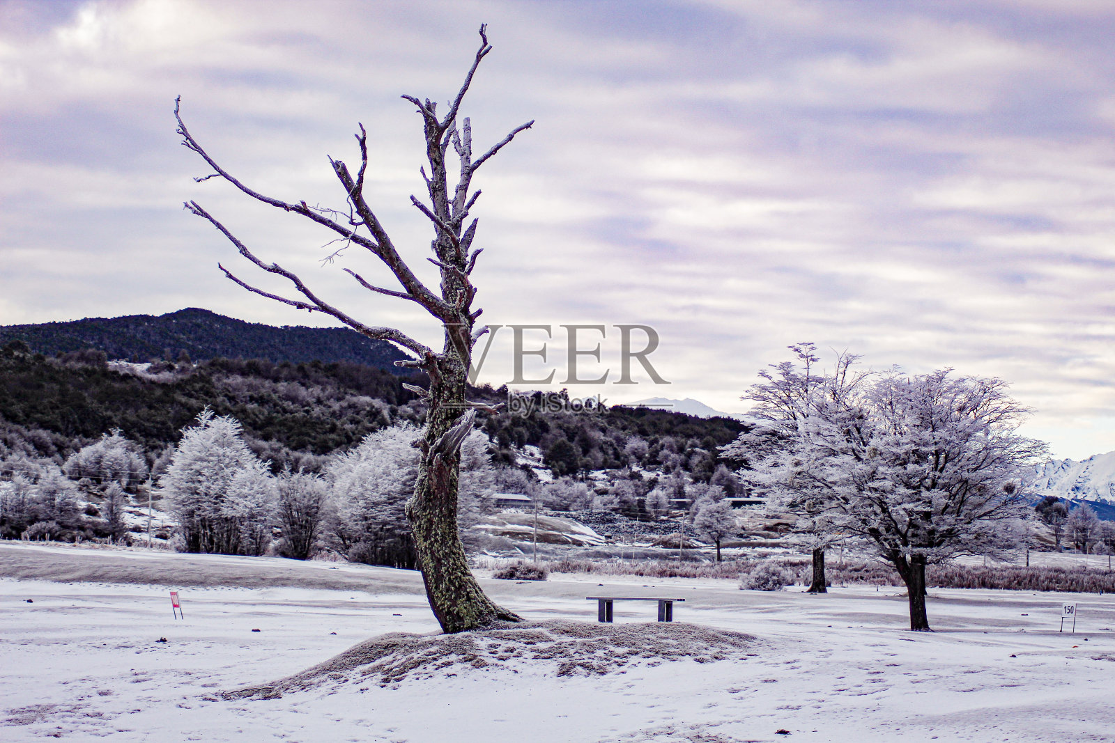 冬天的风景照片摄影图片