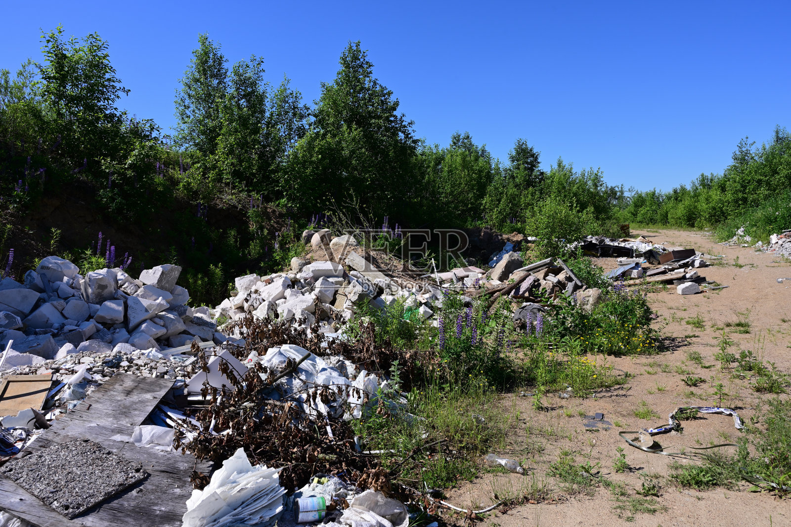 在晴朗的夏日，在无云的天空下，与垃圾合影照片摄影图片