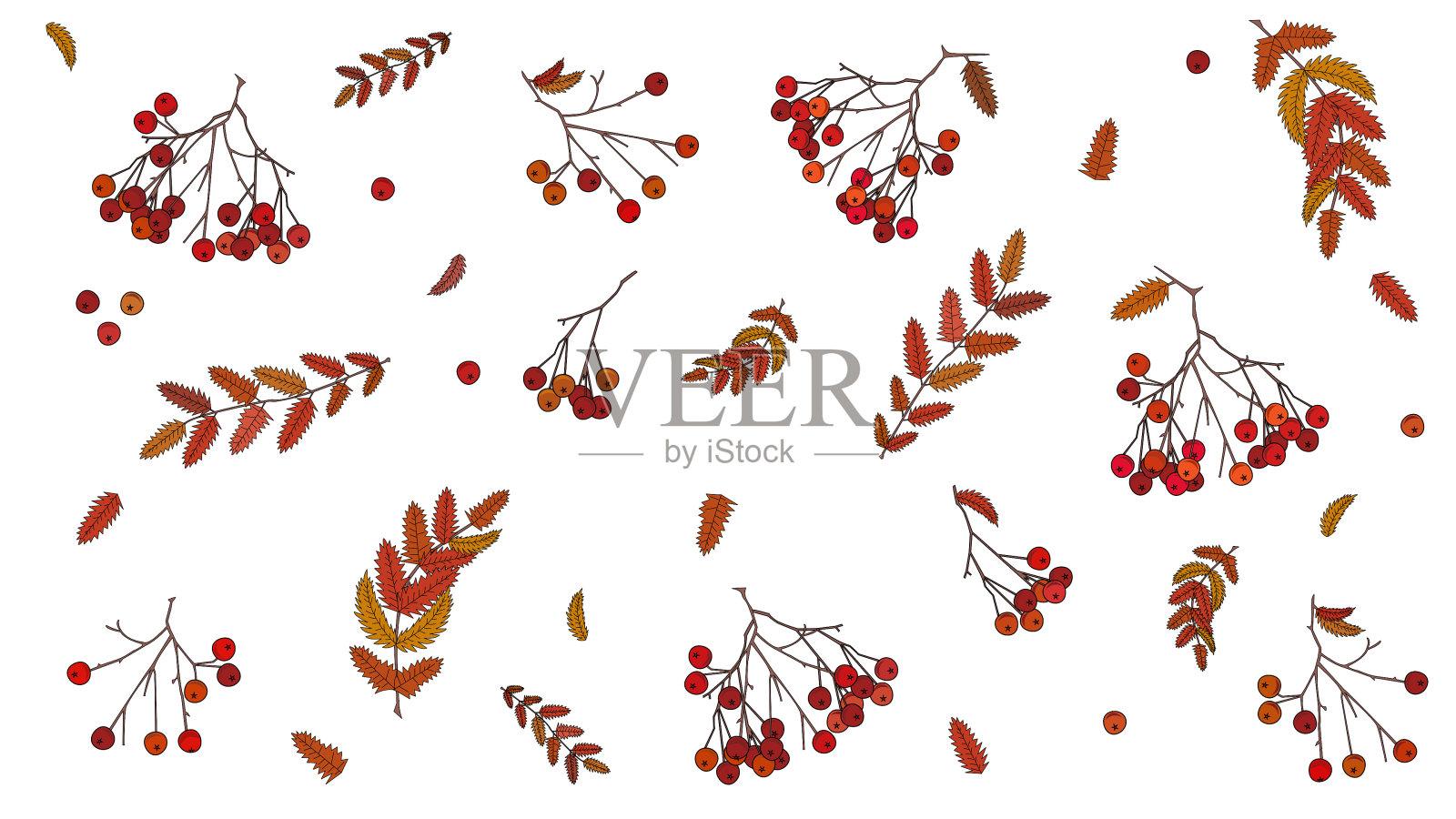 秋天主题的花楸浆果和树叶，秋天的颜色的叶子，红色和橙色的花楸浆果插画图片素材