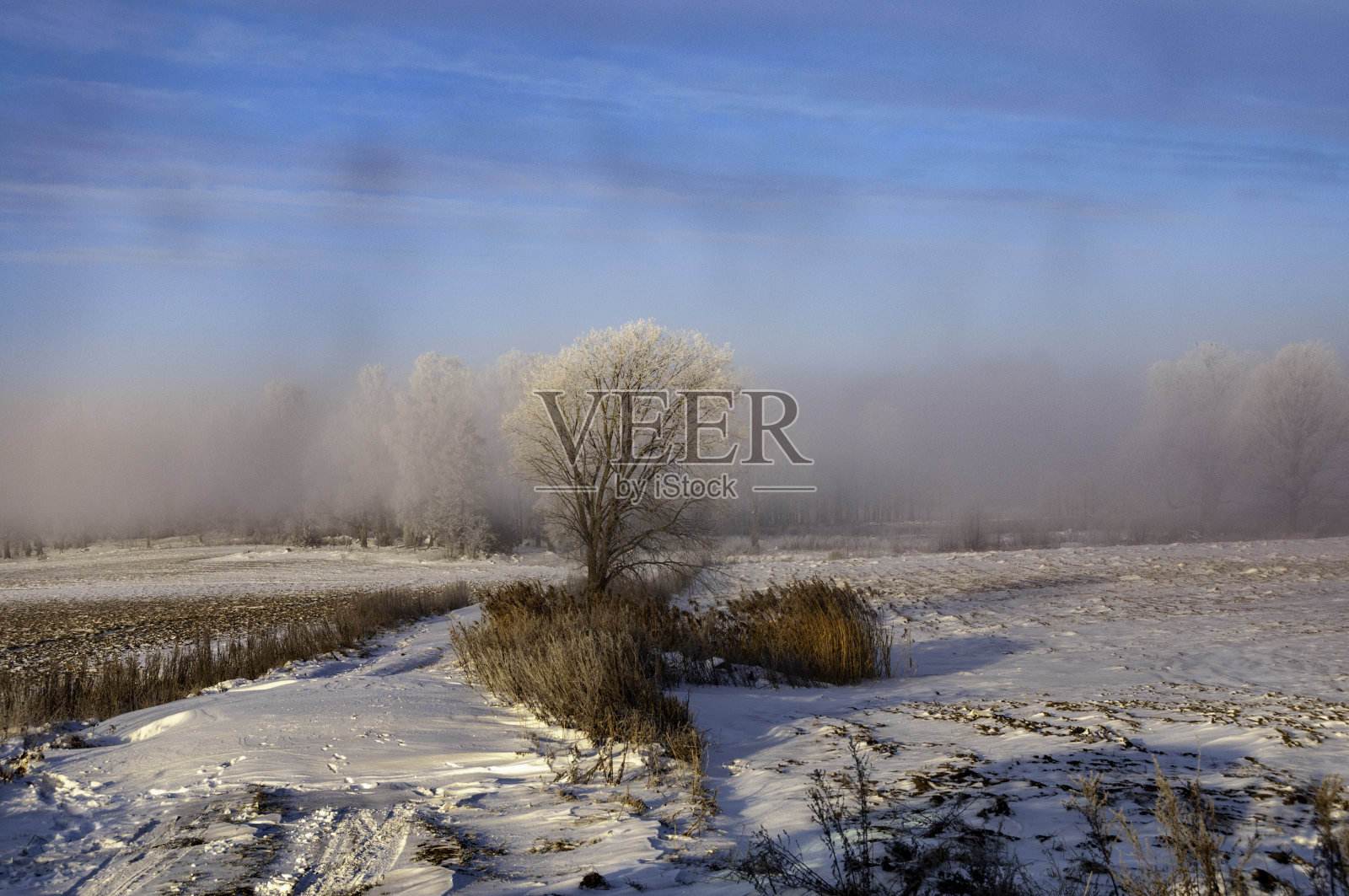 瑞典的冬天照片摄影图片