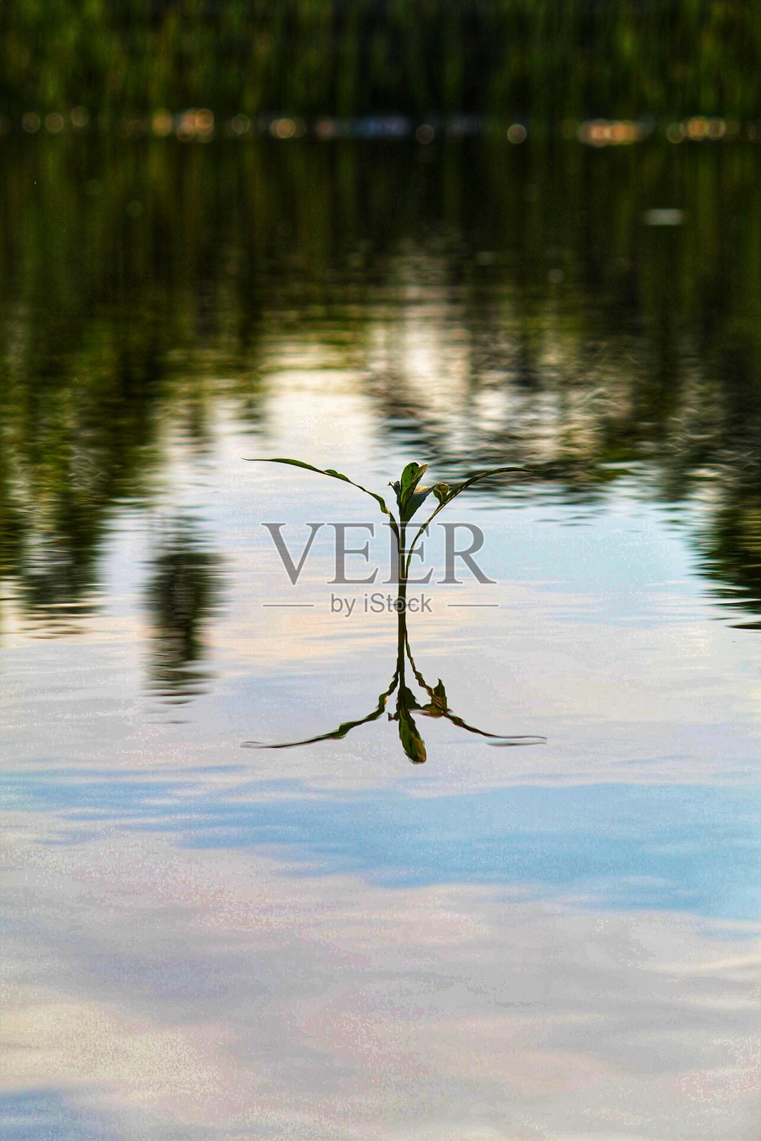 反射照片摄影图片