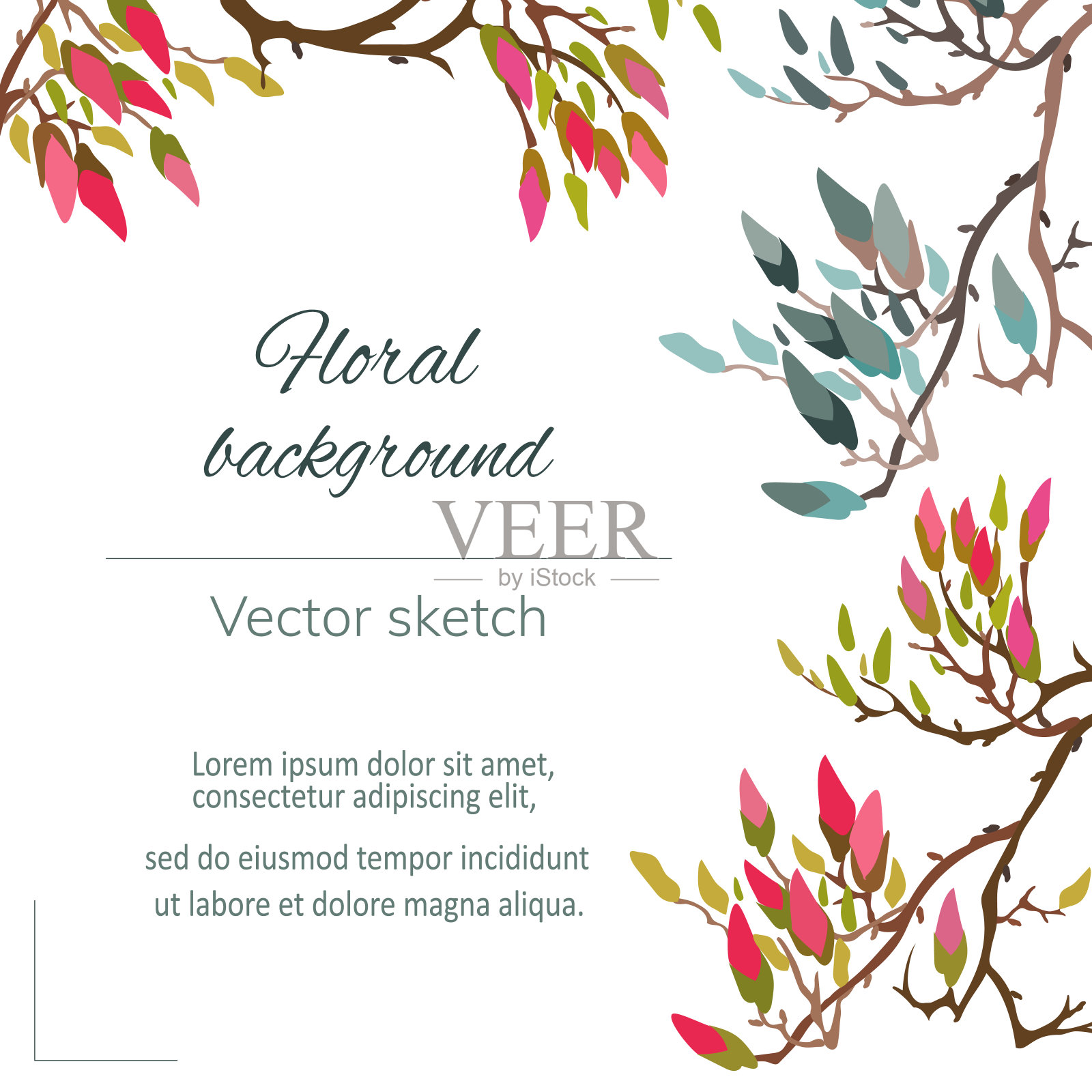 日本花框架的文字。白色背景上的粉红梅花。矢量图设计模板素材