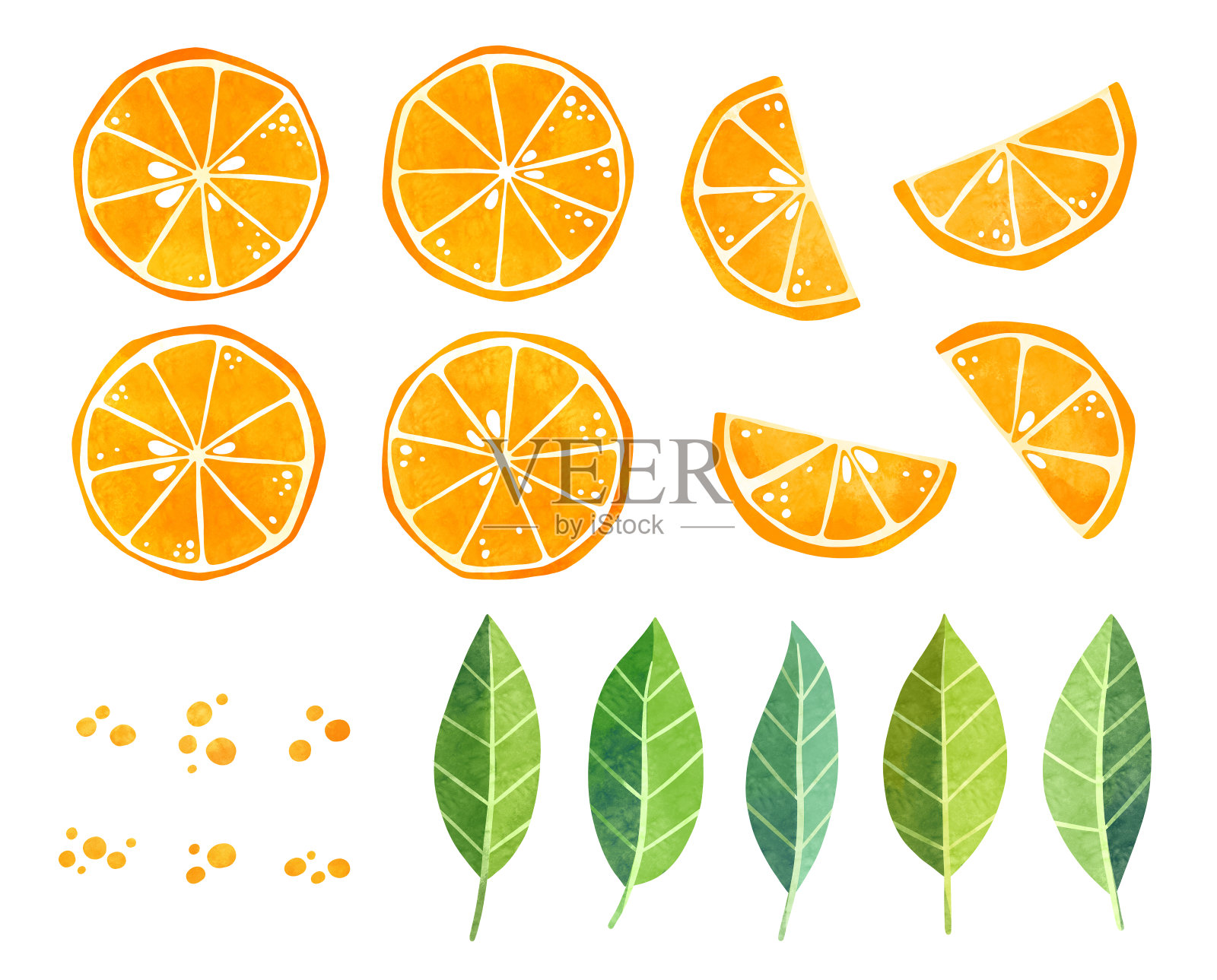 水彩橙色水果切片和叶子夹缝捆绑。柑橘剪辑艺术大型集，手绘股票插图。插画图片素材