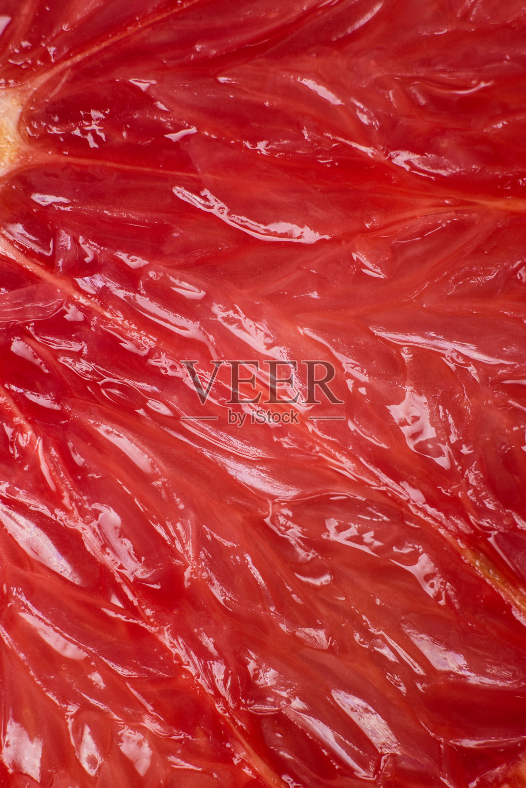 葡萄柚宏照片摄影图片