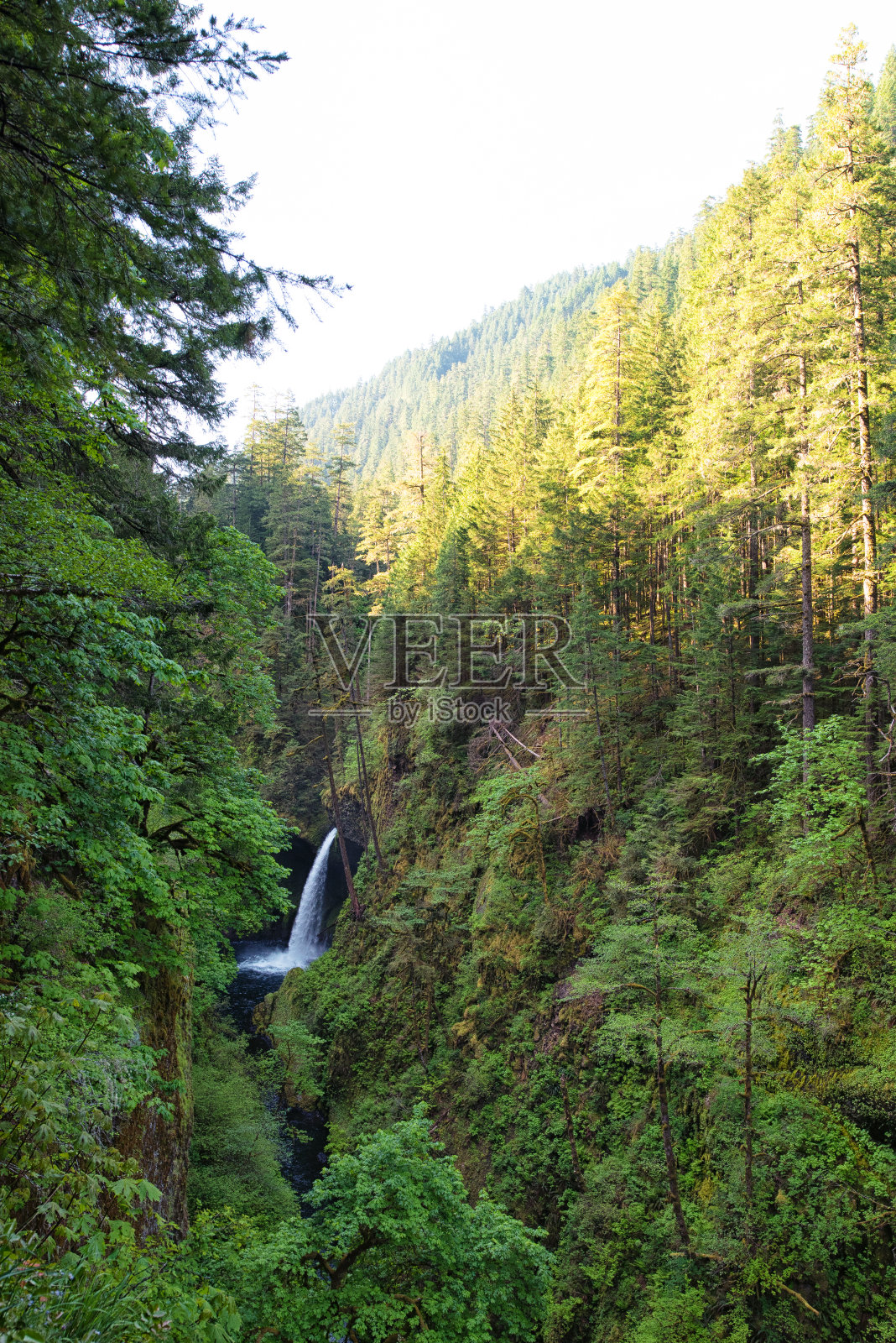 鹰溪小道上的梅特拉科瀑布照片摄影图片