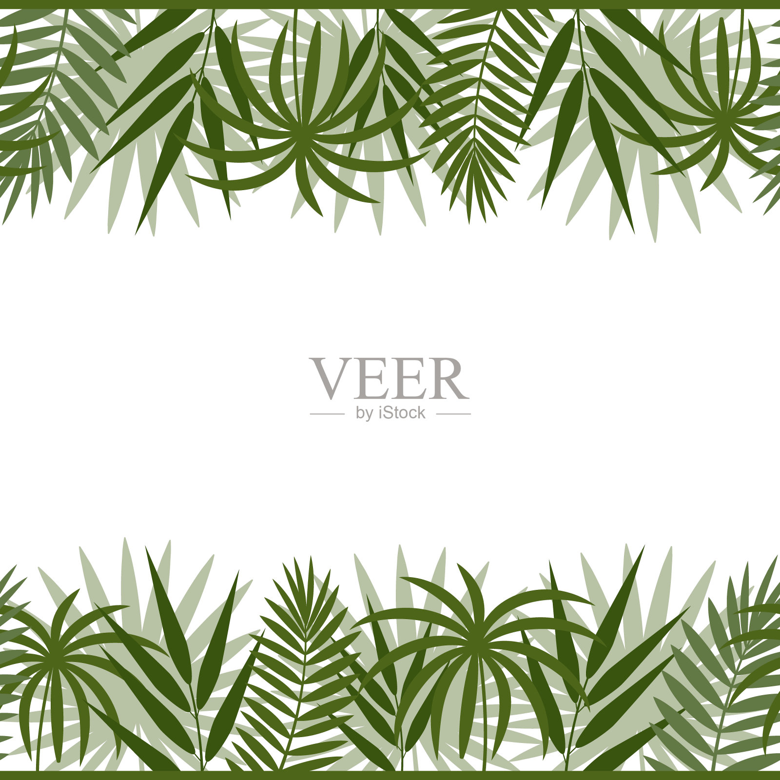 边框框架与热带叶的怪物，棕榈和竹绿色在白色的背景，颜色矢量插图，设计，装饰，印刷，纹理，旗帜插画图片素材