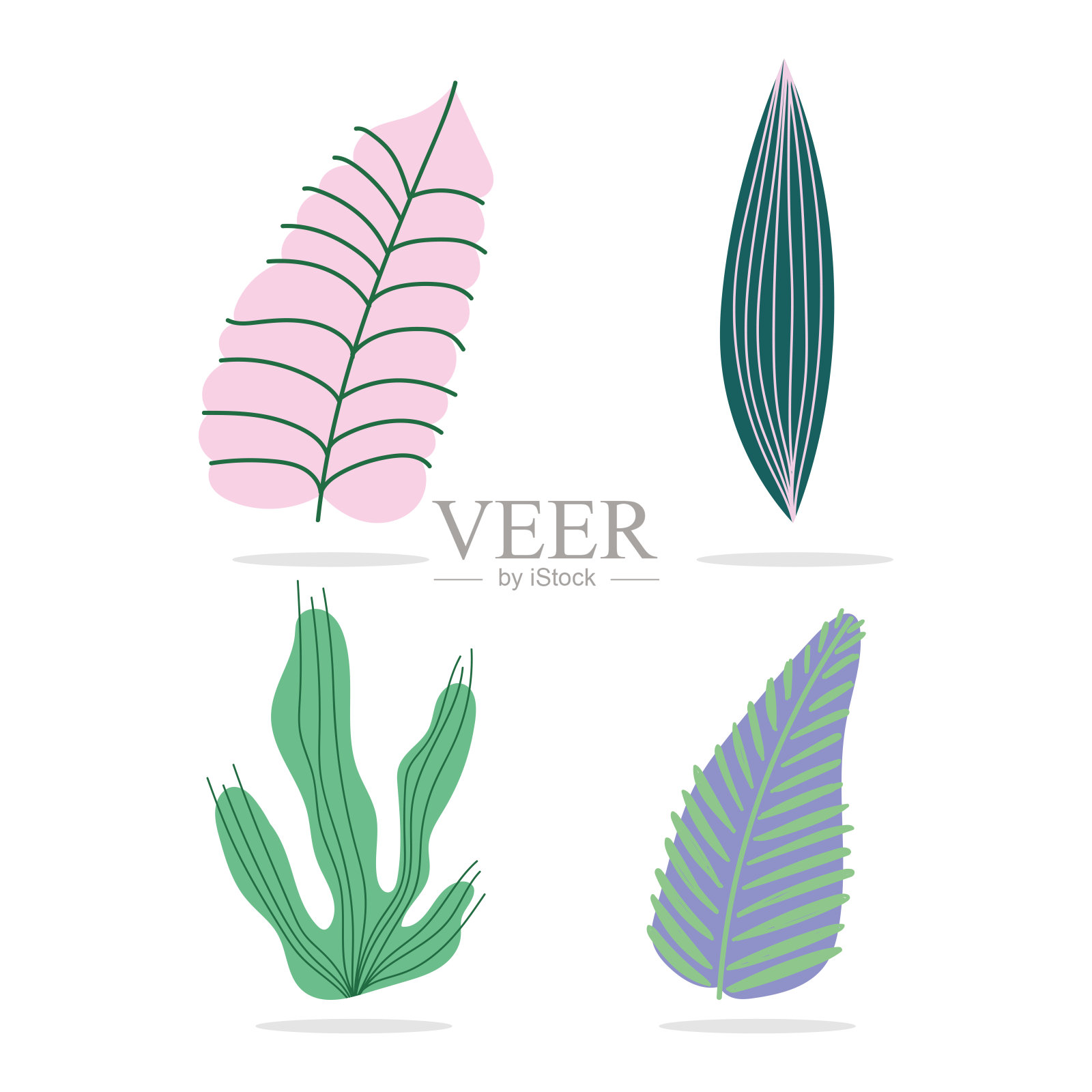 不同的热带叶、叶、植物性质、装饰图标、孤立设计插画图片素材