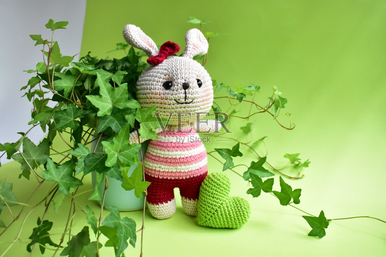 绿色钩针兔子，可爱的兔子与常春藤(Hedera Helix)树叶背景，绿色柔和，淡绿色，生态友好，植物学，照片摄影图片