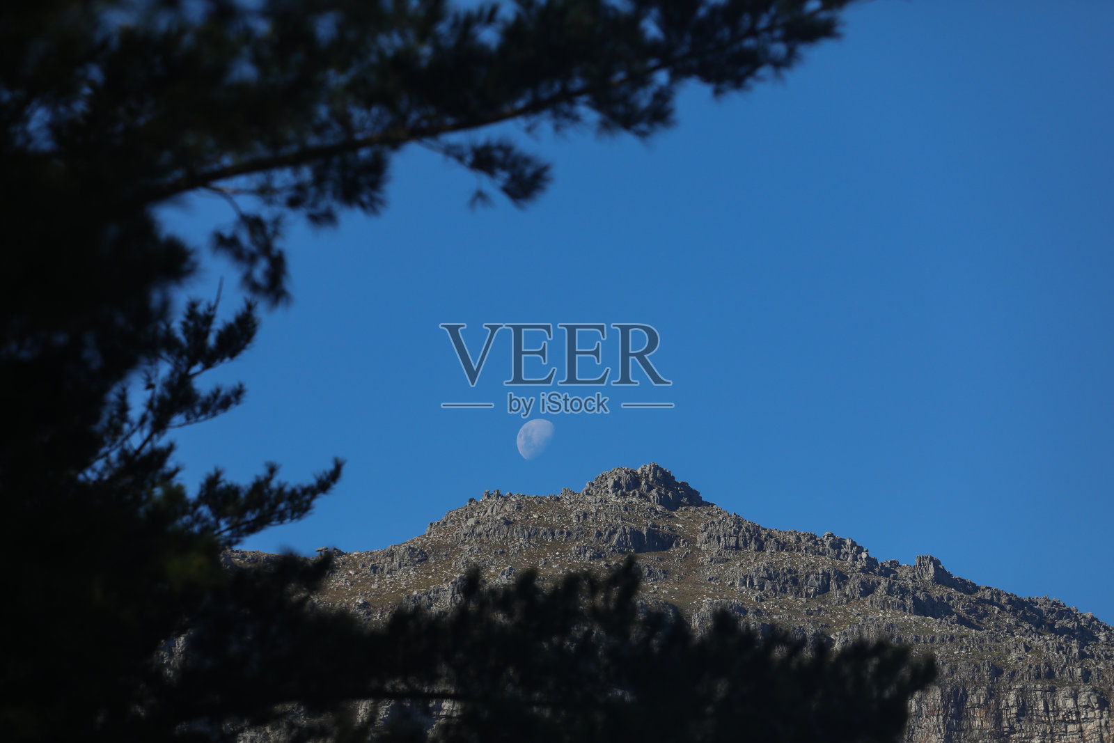 一轮四分之一的月亮从山顶升起。照片摄影图片