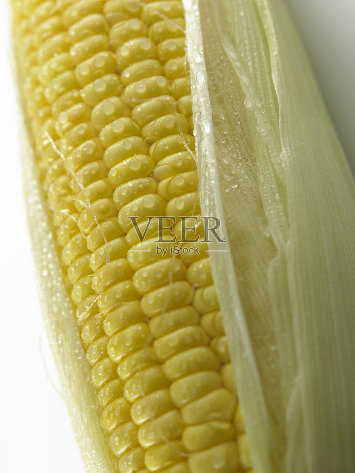 玉米照片摄影图片