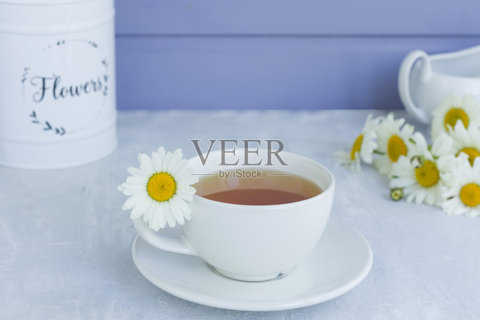 甘菊茶与新鲜的甘菊花在白色的杯和碟在一个明亮的背景。照片摄影图片