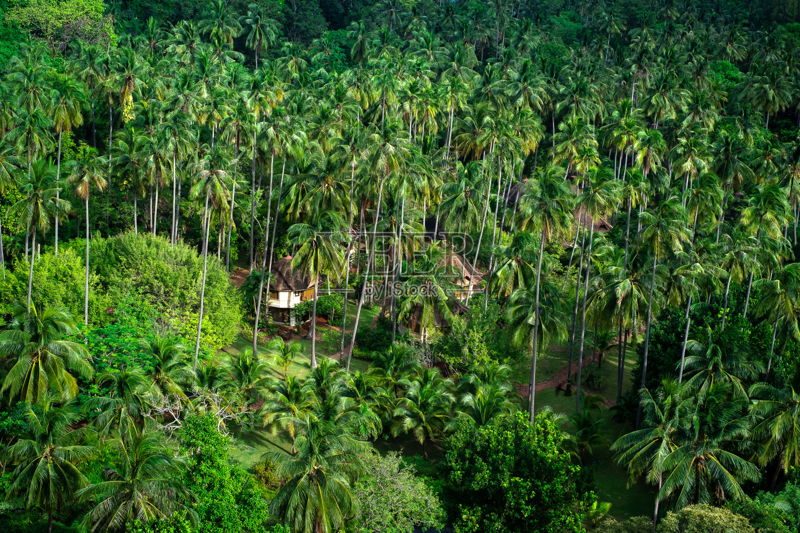 亚洲小屋小屋郁郁葱葱的绿色丛林，从顶部俯瞰泰国全景照片摄影图片