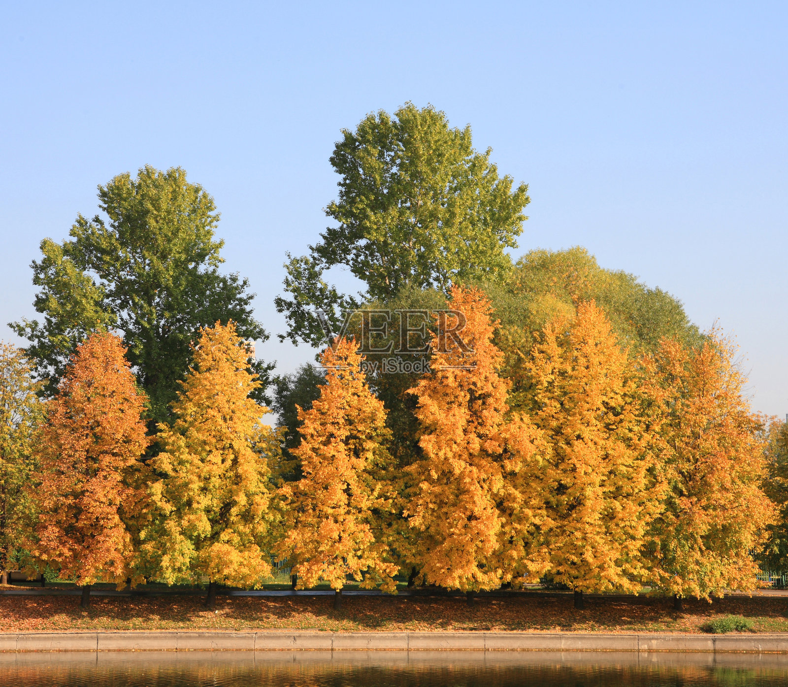 城市公园在金秋照片摄影图片