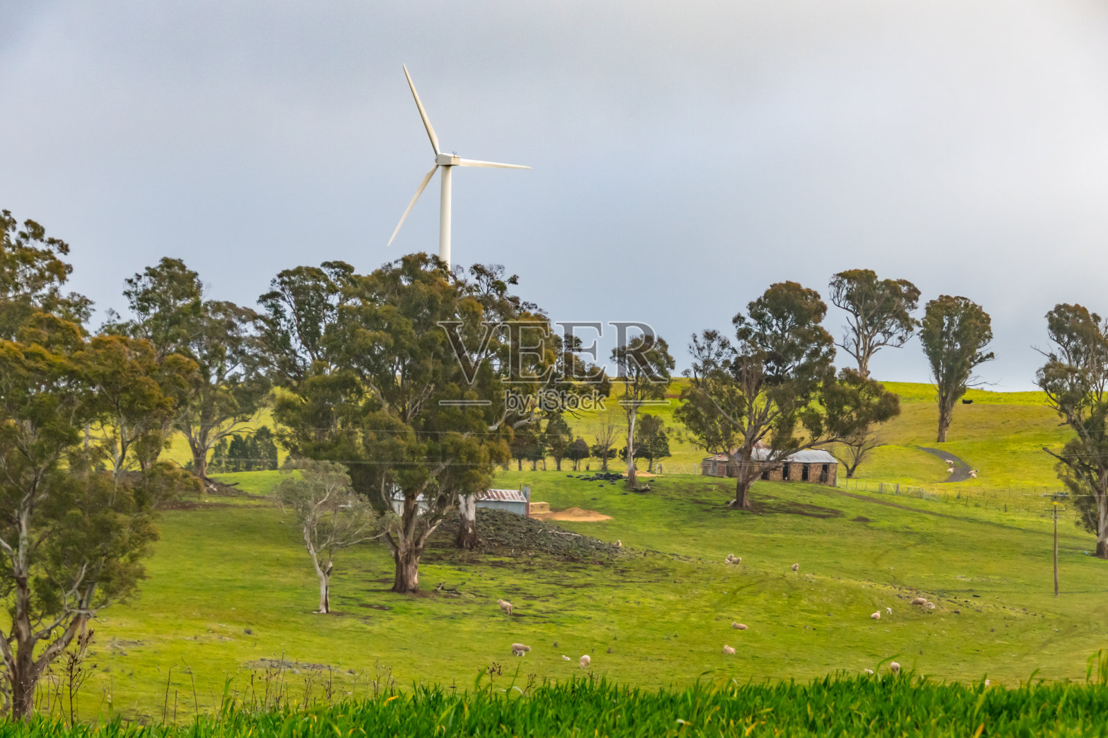 风力发电场上的风力涡轮机照片摄影图片