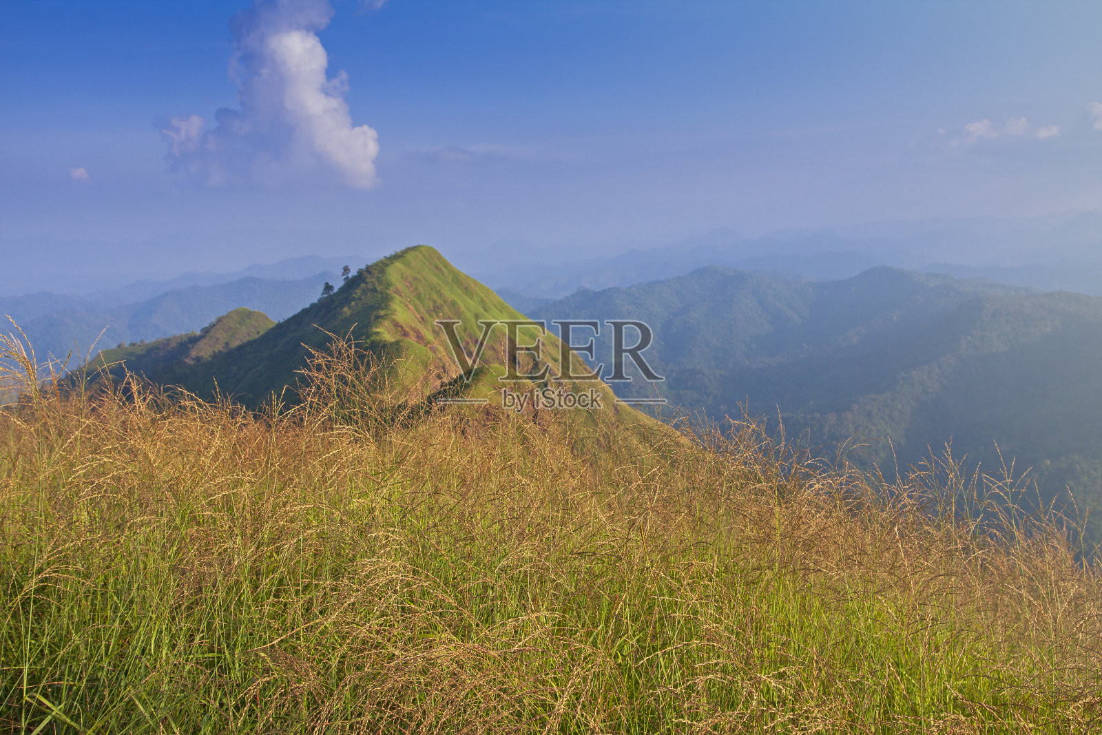 夕阳下金色的草地和群山。美丽的自然景观在冬天的时候，泰国照片摄影图片