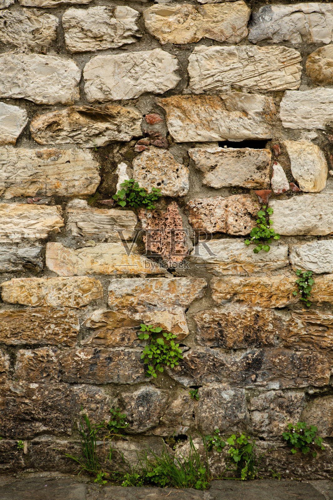 古老的石灰石砖。枯燥乏味的背景。砖缝间长满绿色植物的古墙照片摄影图片