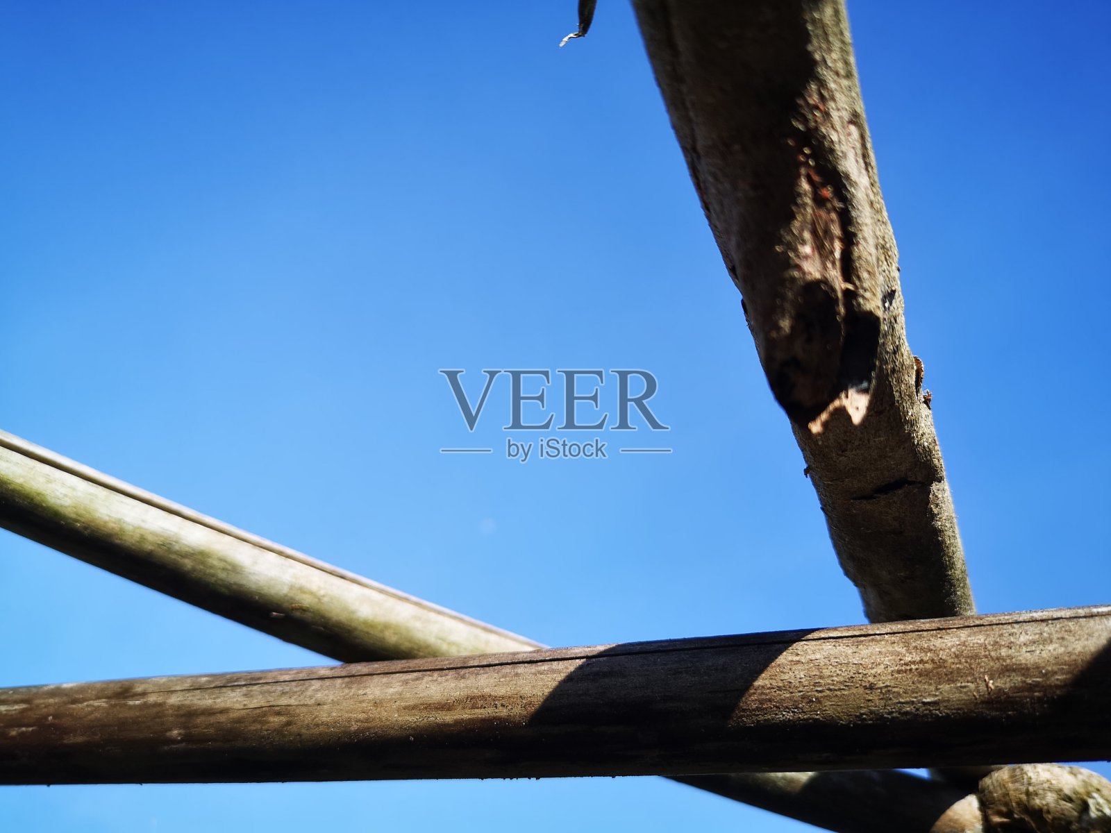 重叠的木头。照片摄影图片