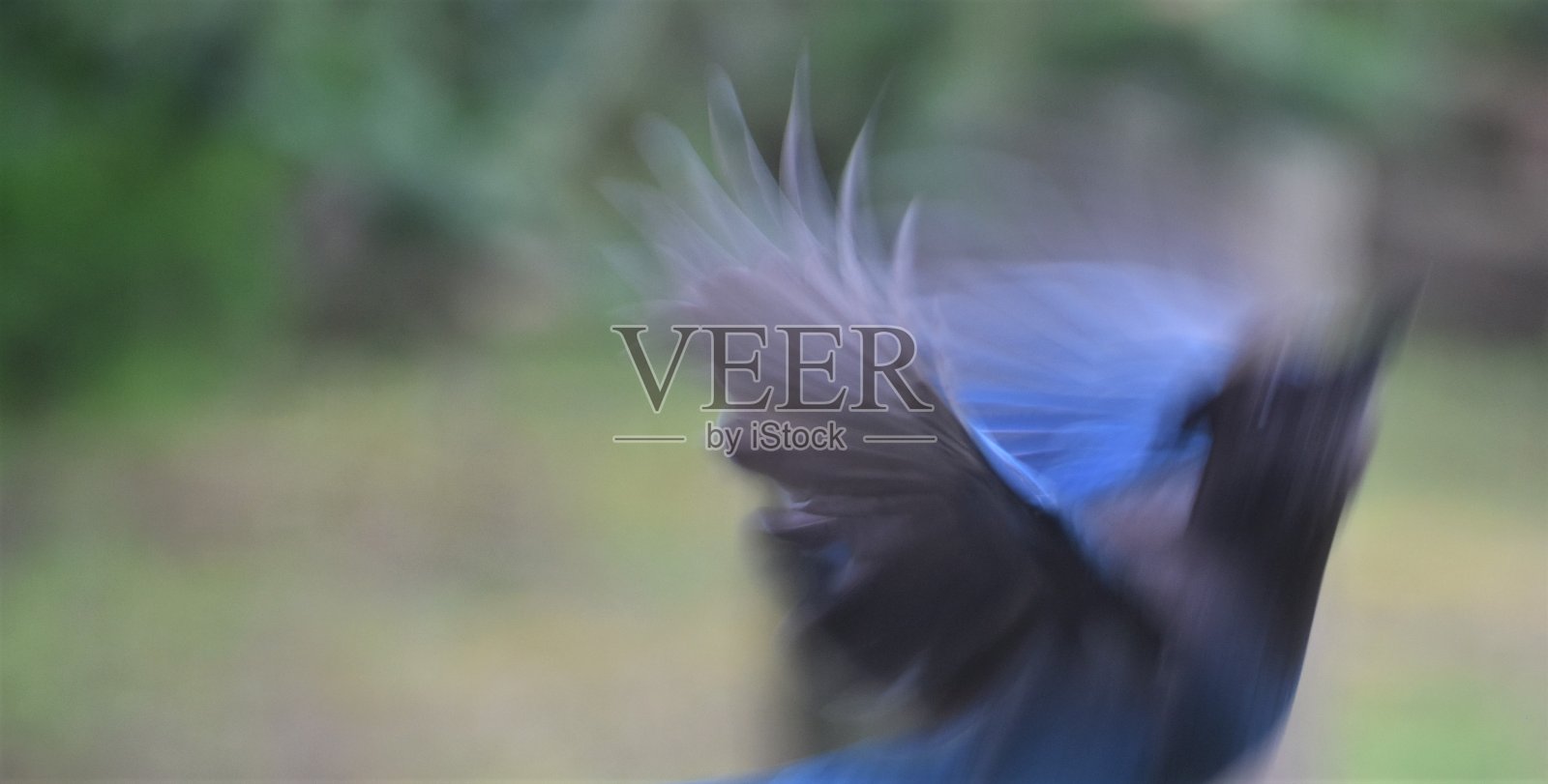 印象派风格的飞翔的蓝鸟。照片摄影图片