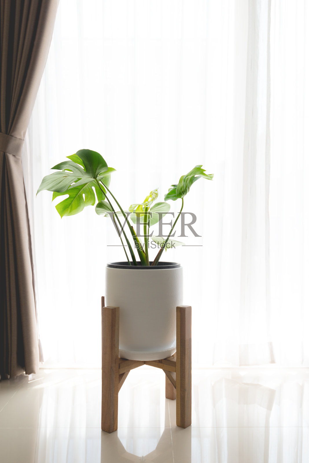 在一个白色的花盆，站在一个木支架旁边，在客厅的百叶窗或窗帘。高音。照片摄影图片