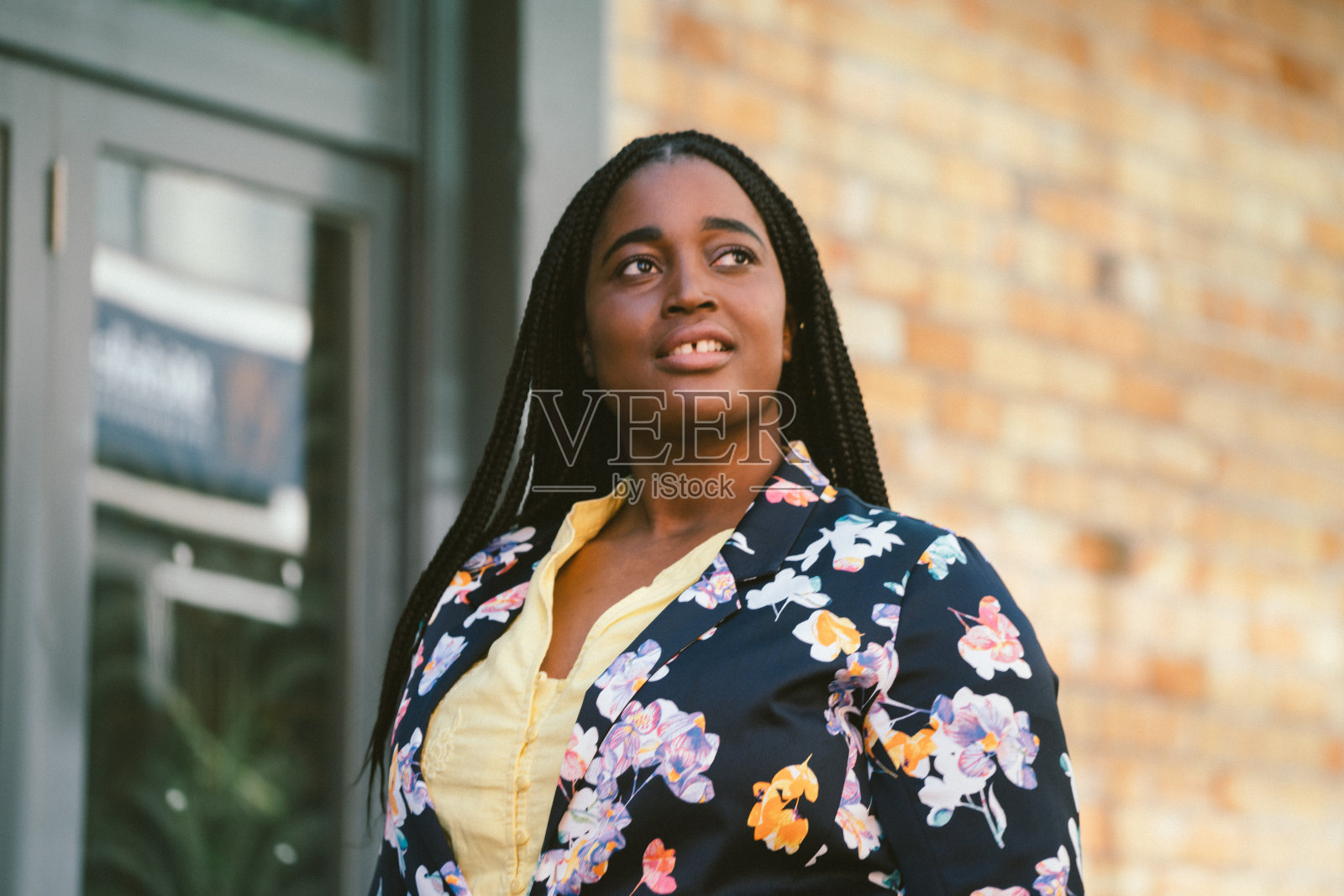 非洲女商人在商业领域工作照片摄影图片