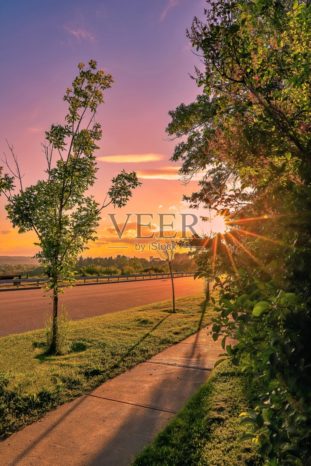 夏日公园的日落天空照片摄影图片