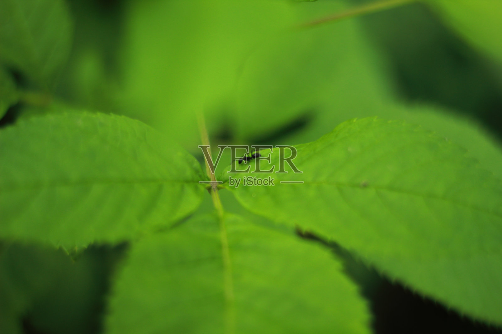 为生活奋斗照片摄影图片