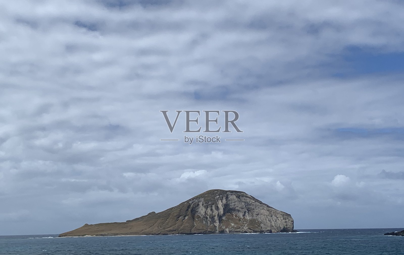 兔子岛照片摄影图片