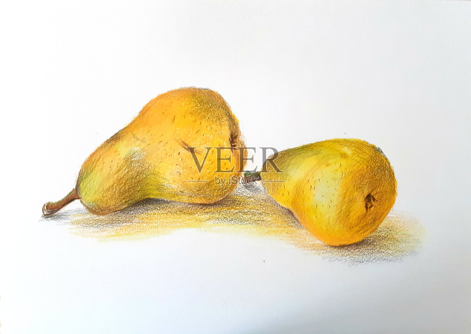 用彩色铅笔在白色背景上画逼真的梨。插画图片素材