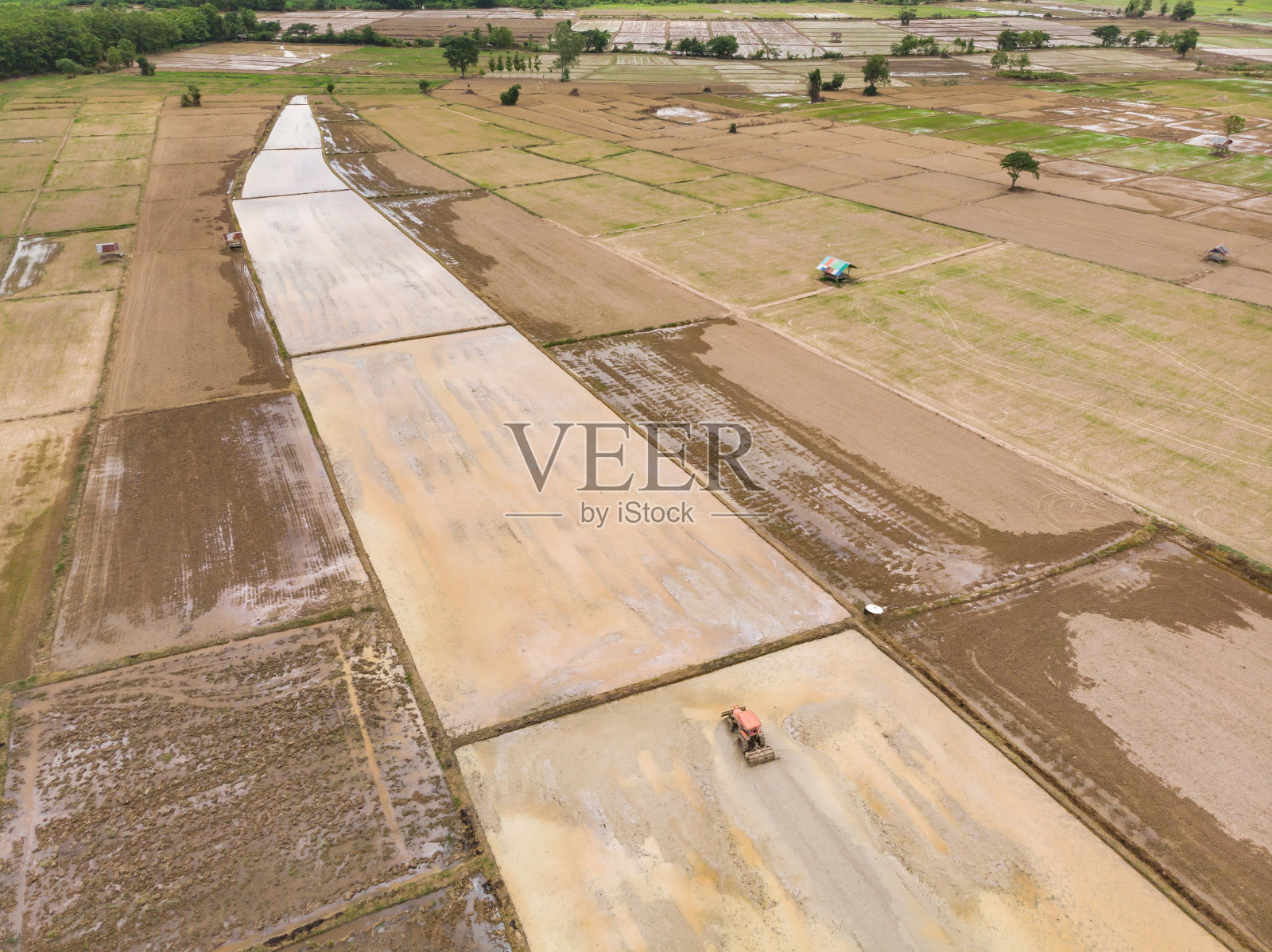 拖拉机在淹水的稻田里整地种植水稻照片摄影图片