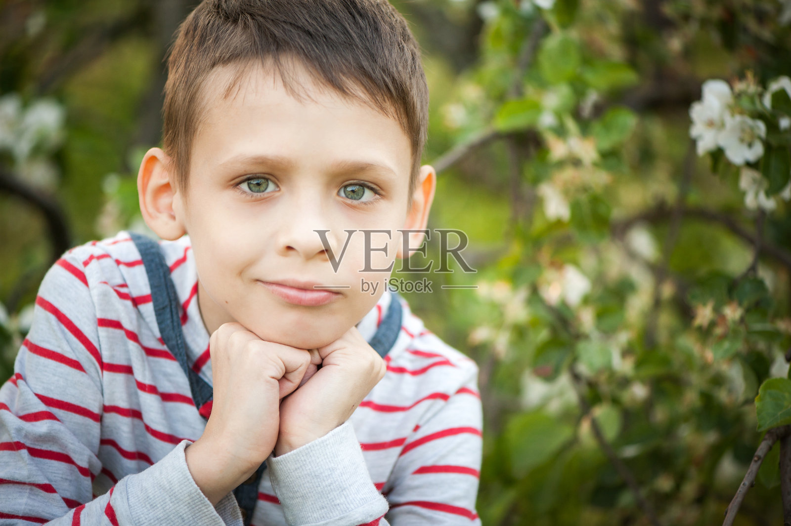 一个男孩在苹果园里开着白花，特写照片摄影图片