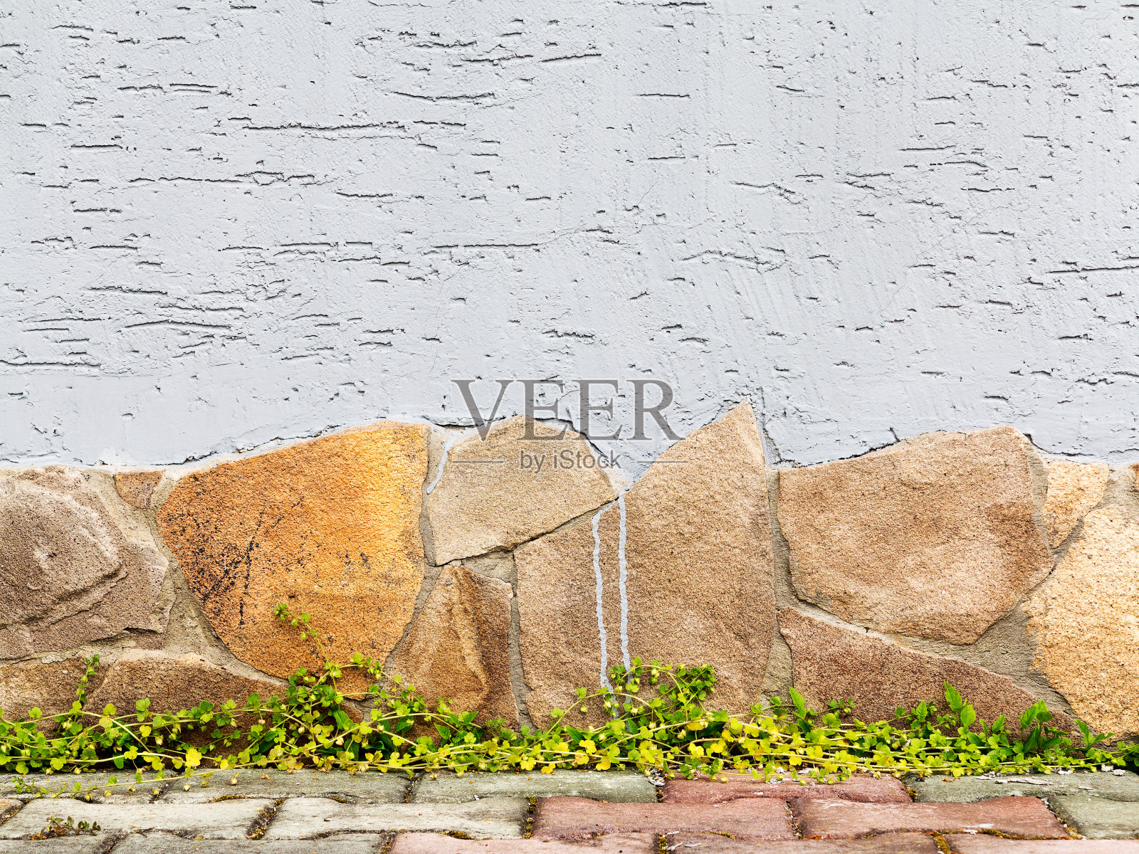 石墙上有鲜绿色的植物。很棒的背景或纹理。照片摄影图片