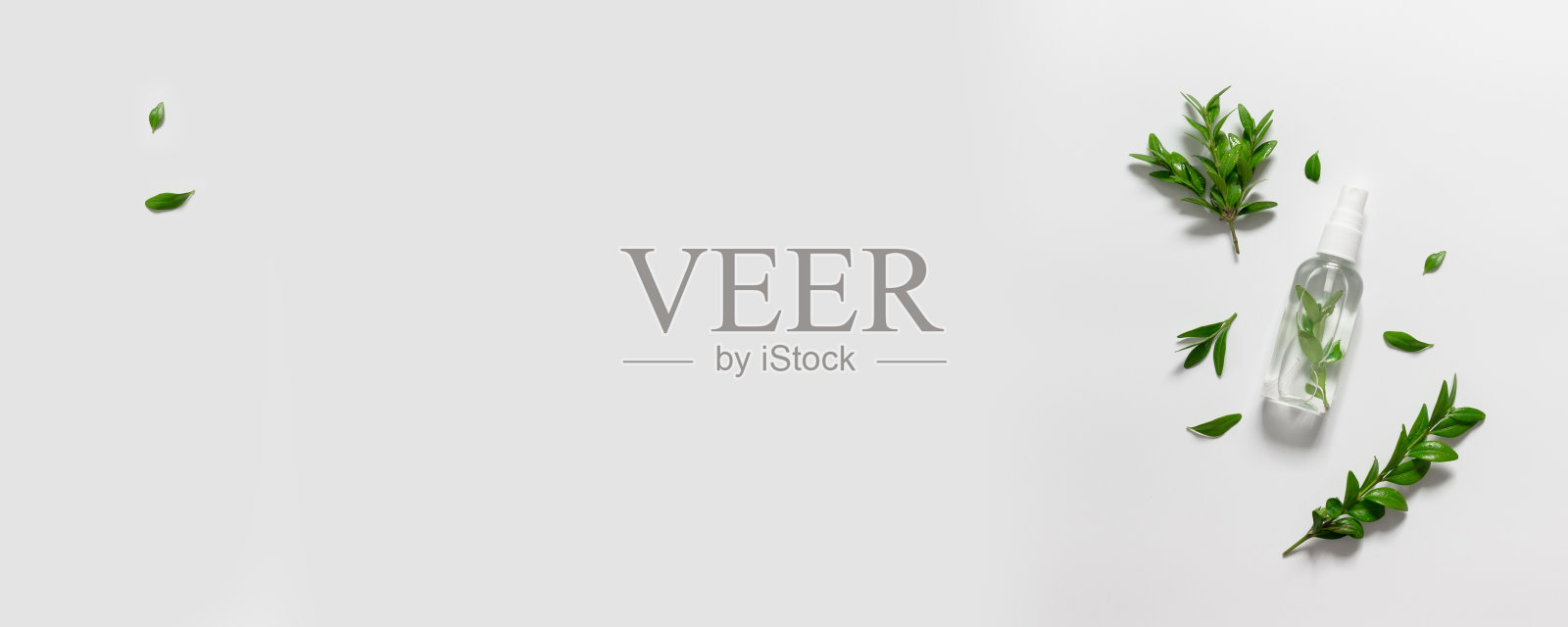 天然有机护肤化妆品包装与绿色植物在灰色背景与复制空间照片摄影图片