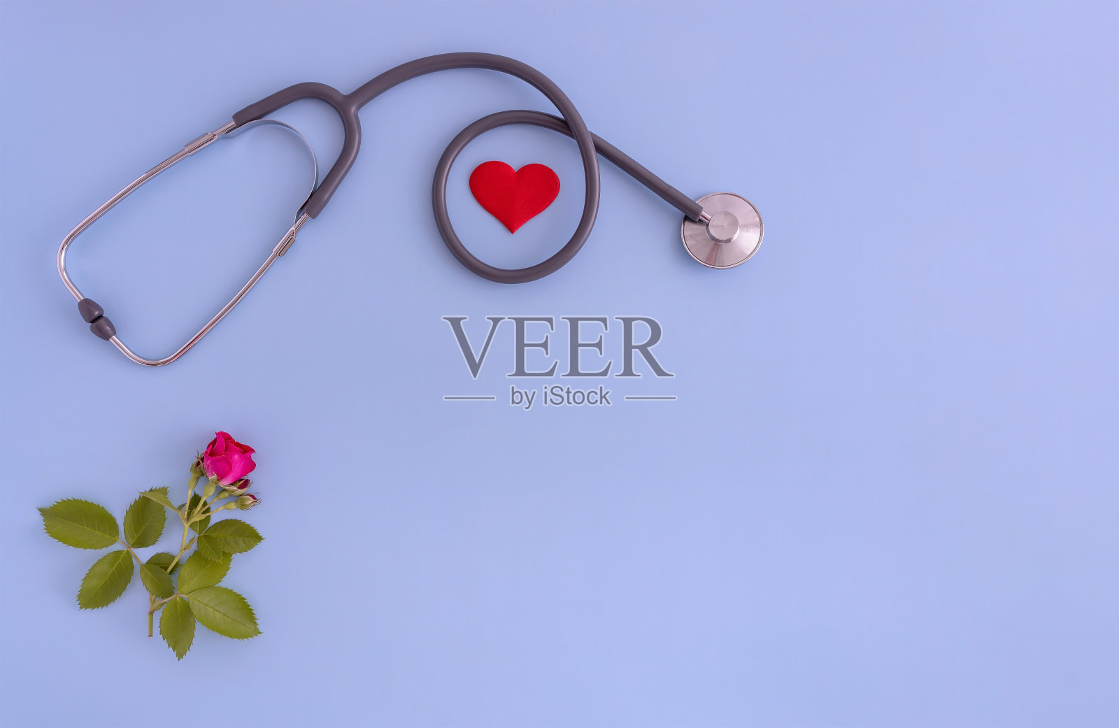 听诊器，心脏，蓝色背景上的玫瑰照片摄影图片