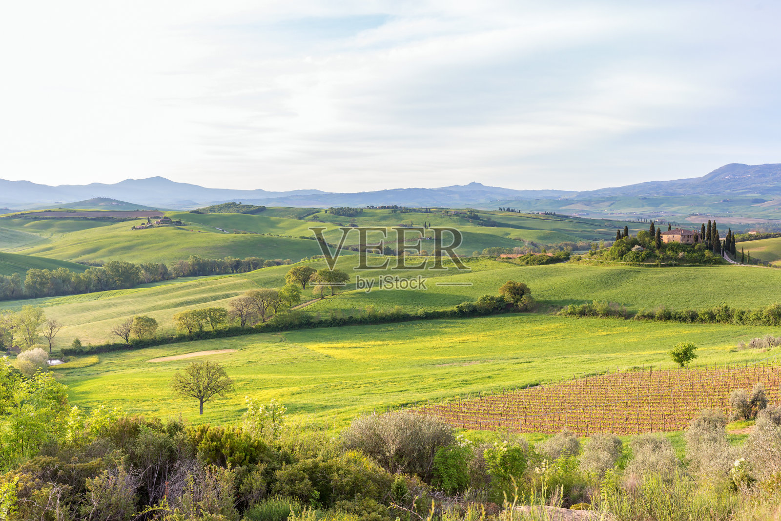 意大利托斯卡纳的乡村风景照片摄影图片