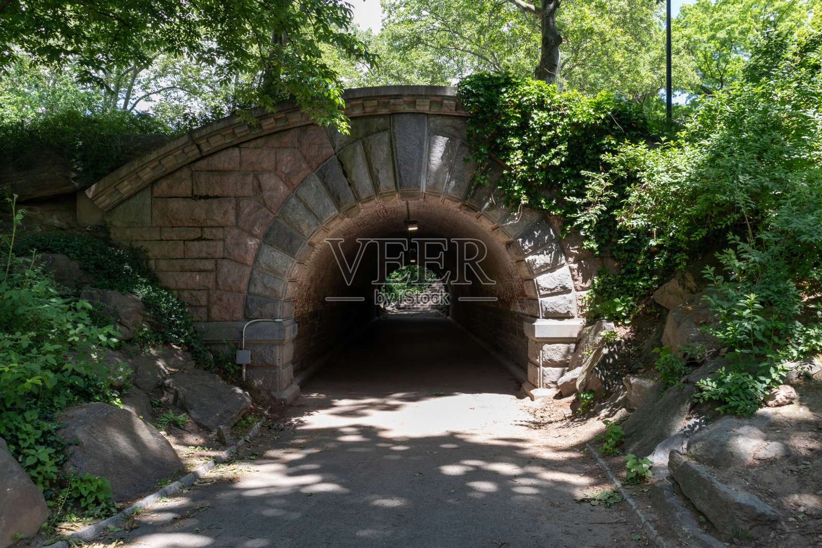 春天，纽约中央公园的老石桥上有绿色的植物和树木照片摄影图片