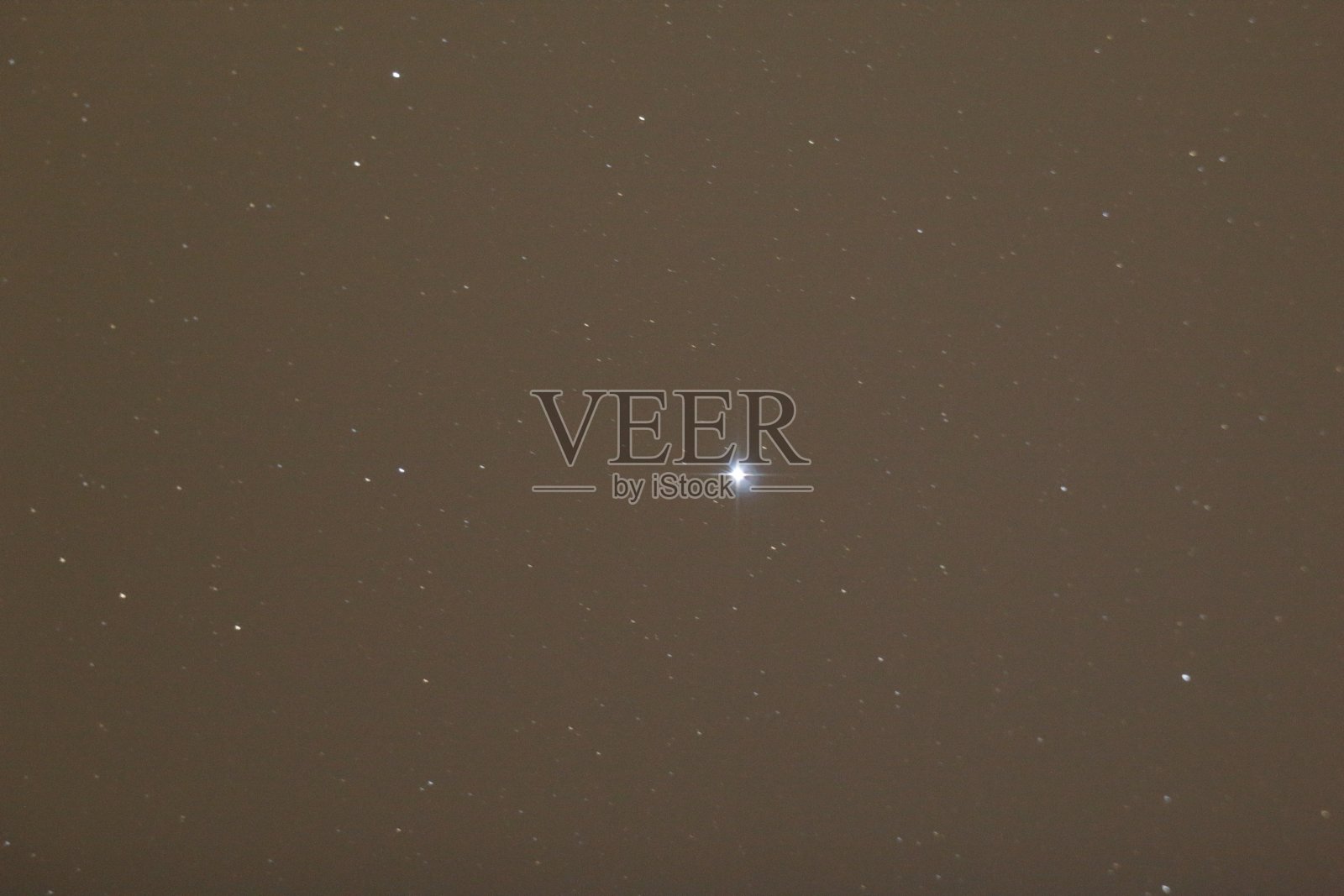 牵牛星明星照片摄影图片