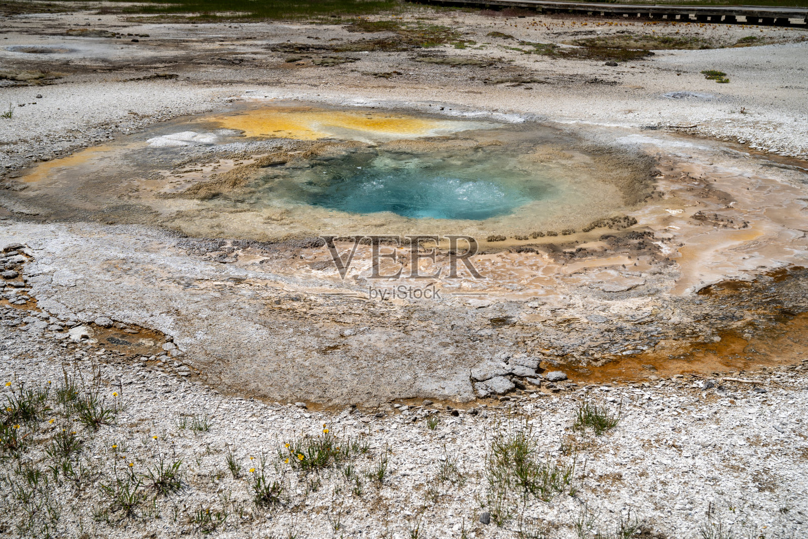 起泡芥末泉，位于饼干盆地，黄石国家公园的地热特色地区照片摄影图片