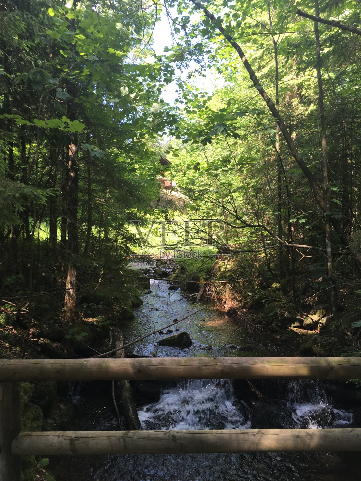 漫步在巴伐利亚，森林，漂亮的房子照片摄影图片