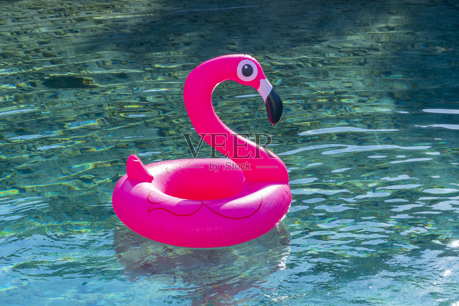 粉红色的火烈鸟在海上。照片摄影图片