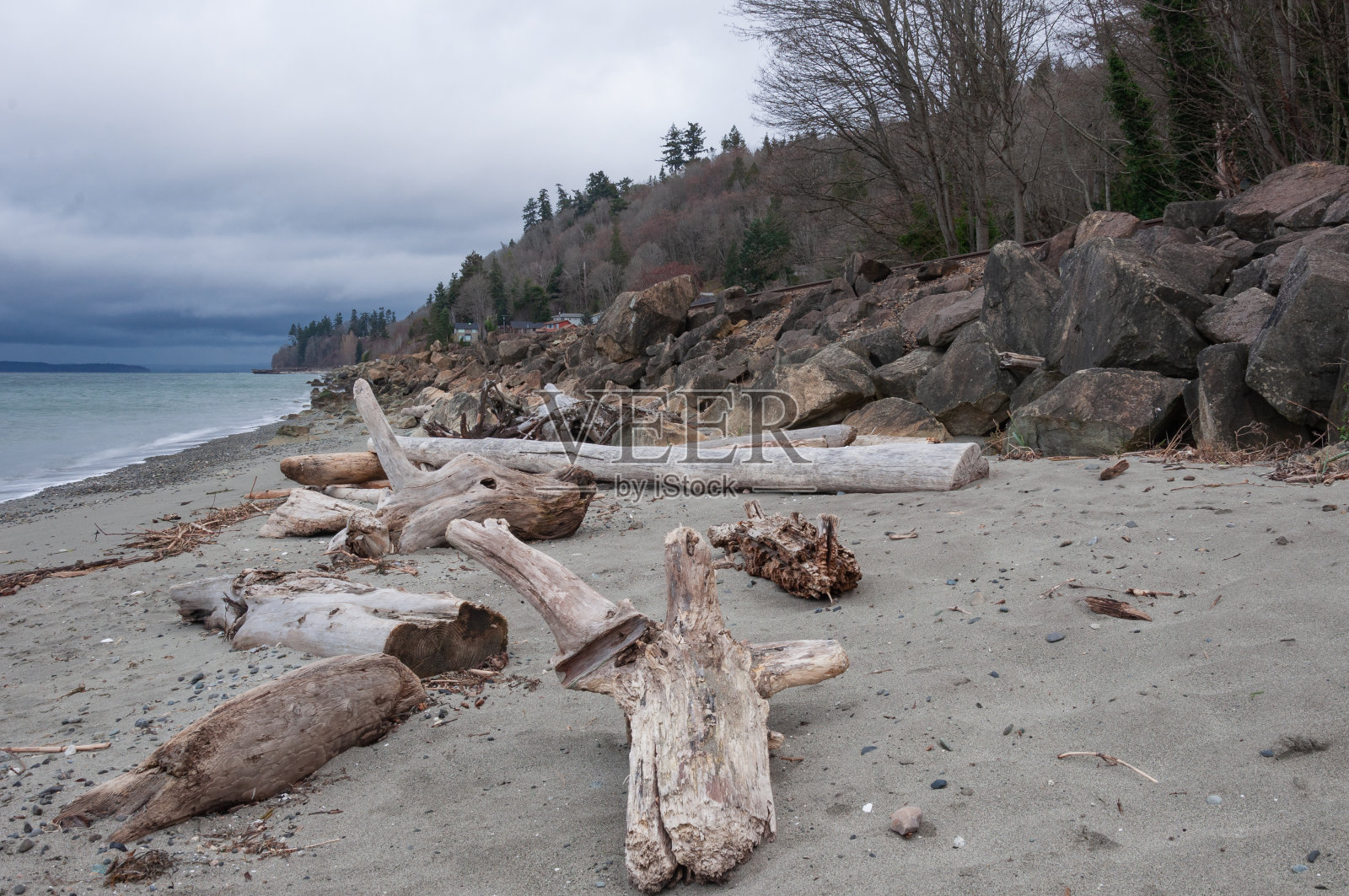 海岸，树木，石头和木材在早上野餐点区域照片摄影图片