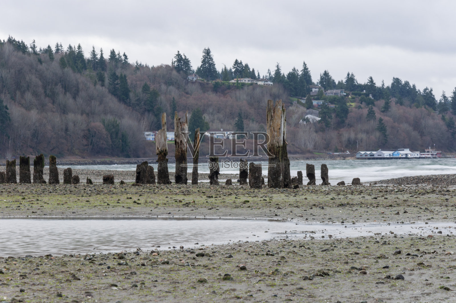 早上野餐点区域的木杆照片摄影图片